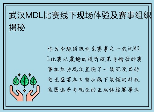 武汉MDL比赛线下现场体验及赛事组织揭秘